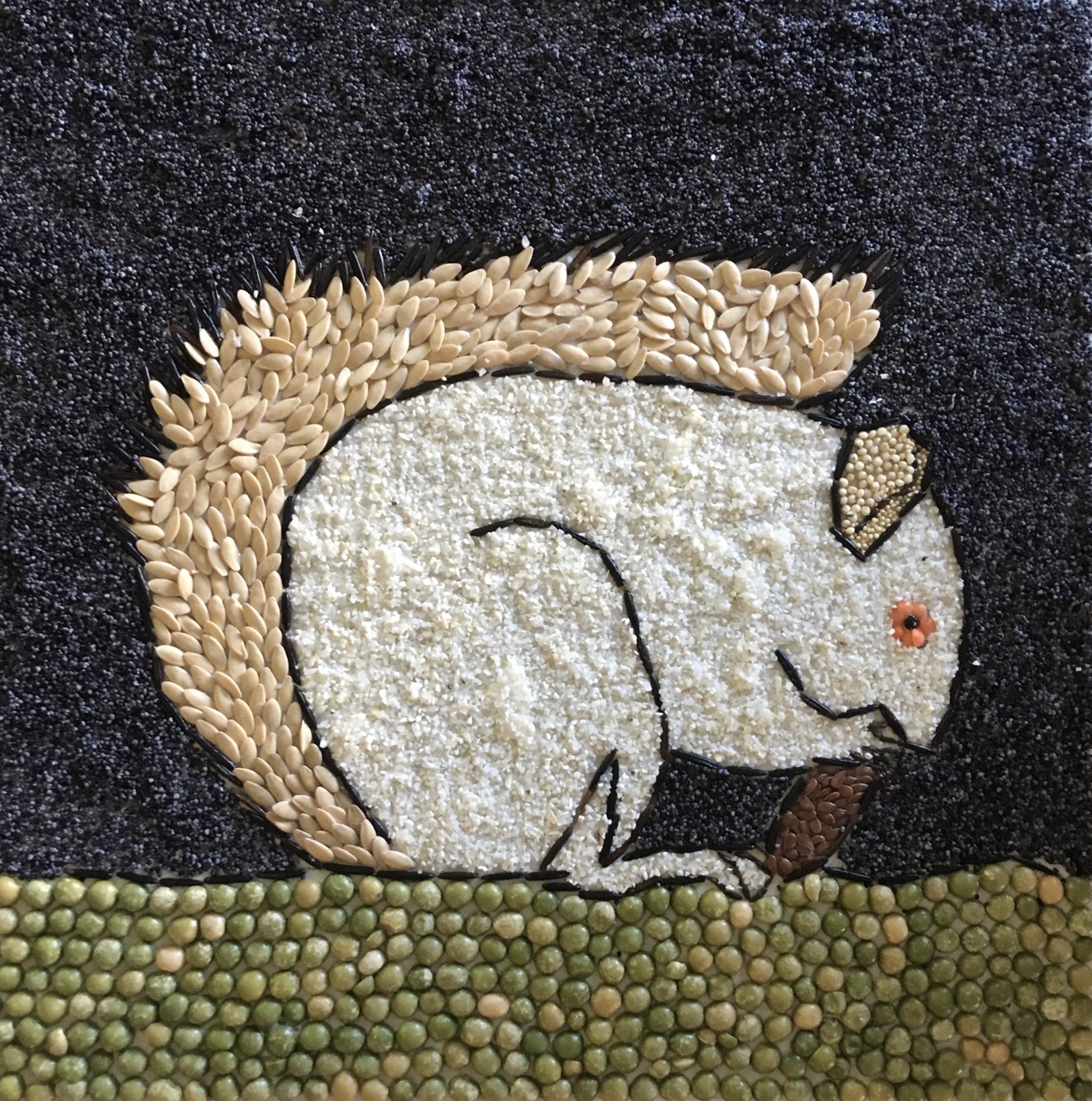 [Nell Graham White Squirrel image]